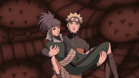 Watch Guidepost of the Camellia. Episode 108 of Season 5.